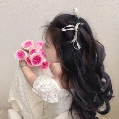 赞鸟历险记